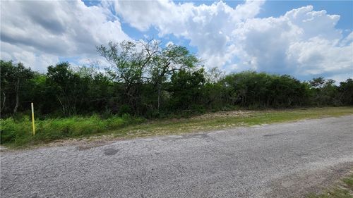 17 County Road 372, Sandia, TX, 78383 | Card Image