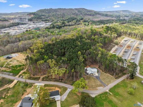Lot 19 Adventure Rd, Guntersville, AL, 35976 | Card Image