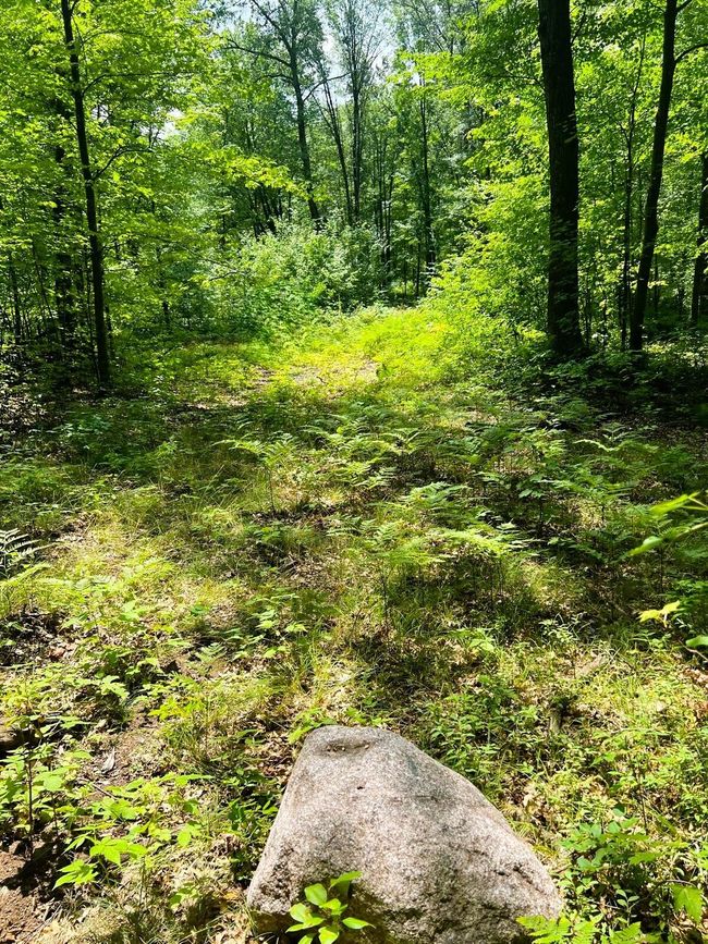Lt0 Airport Rd, Home with 0 bedrooms, 0 bathrooms and null parking in Shawano WI | Image 10