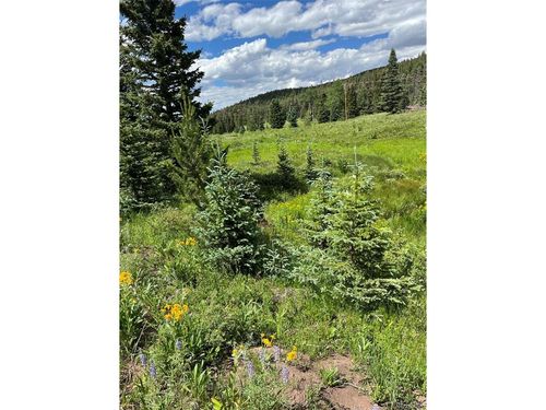 3091 Sterenson Pl, Fort Garland, CO, 81133 | Card Image