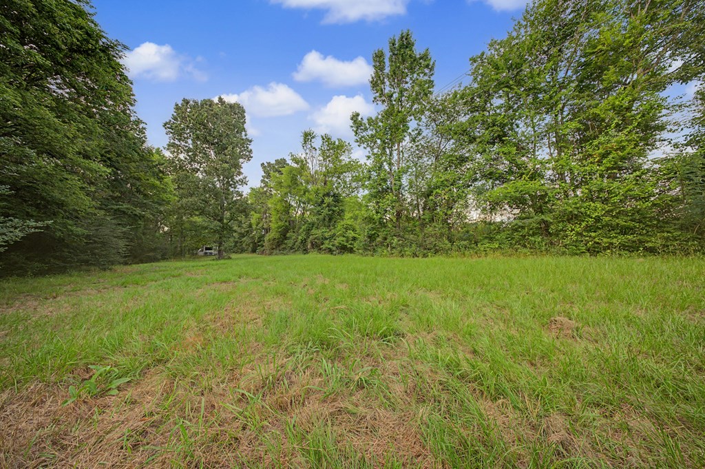 Residential in Shelbyville 4