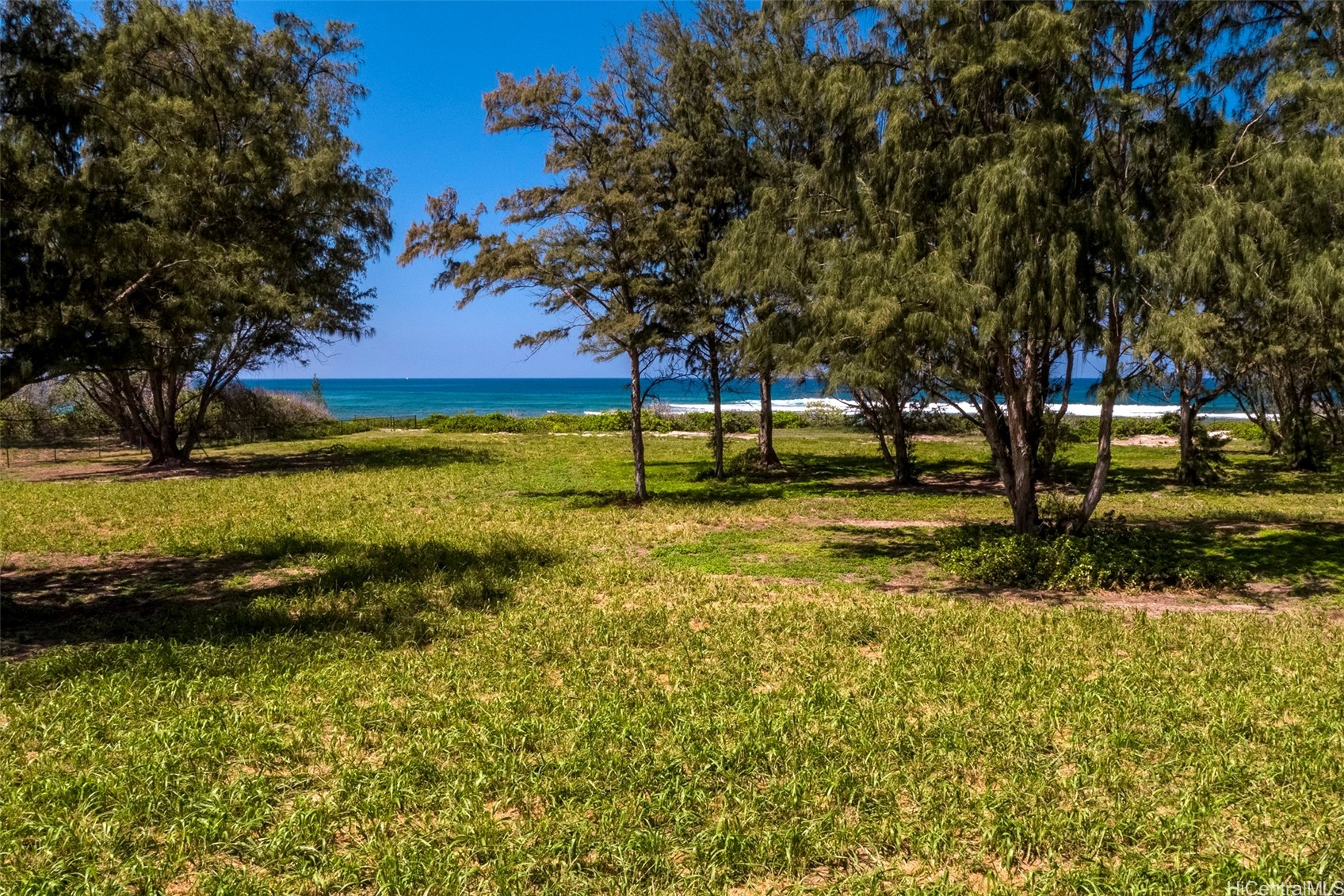 Land in Waialua 3