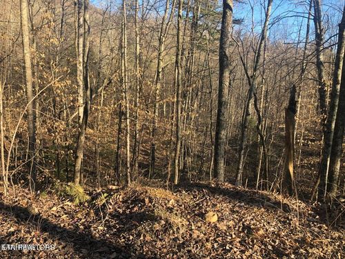 Lot 68 Yellowwood Dr, Sevierville, TN, 37876-7808 | Card Image