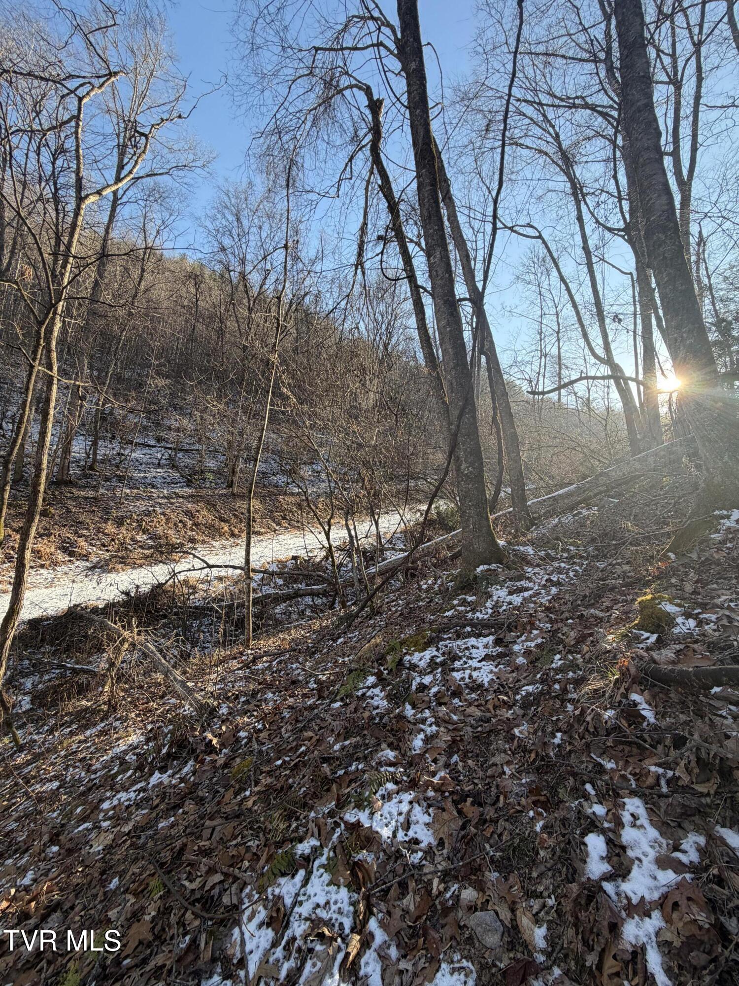 Land in Butler 4
