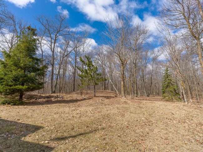 Stunning lot and acreage | Image 17