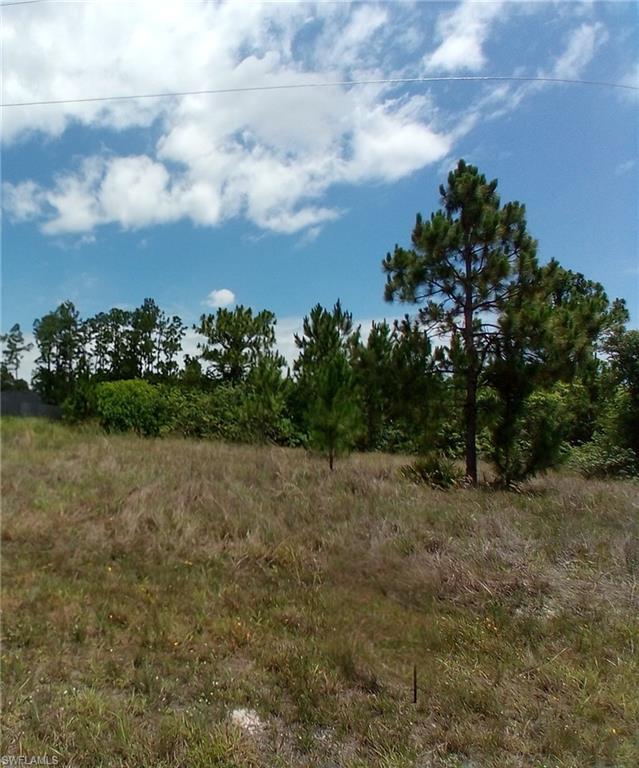 Land in LEHIGH ACRES 5