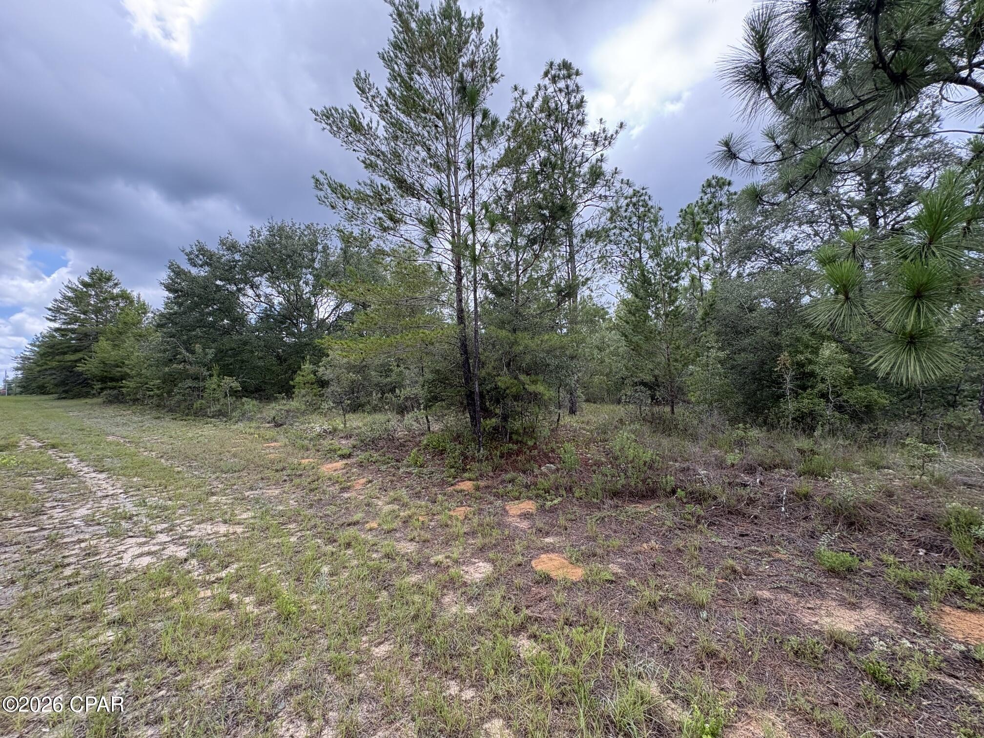 Land in Chipley 3