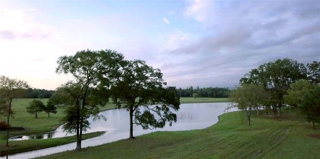 15357 Forest Grove Dr, Home with 0 bedrooms, 0 bathrooms and null parking in Willis TX | Image 5