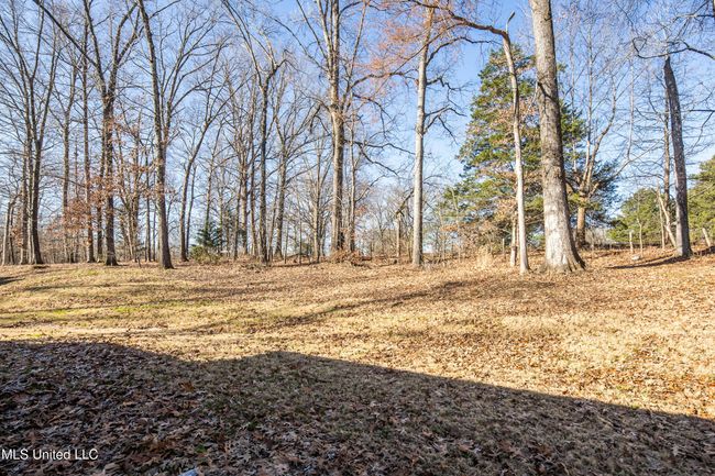 045-4611 Bonne Terre Dr-MLS Version | Image 38