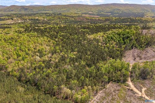 LOT 1 Pruitt Rd, Piedmont, AL, 36272-7605 | Card Image