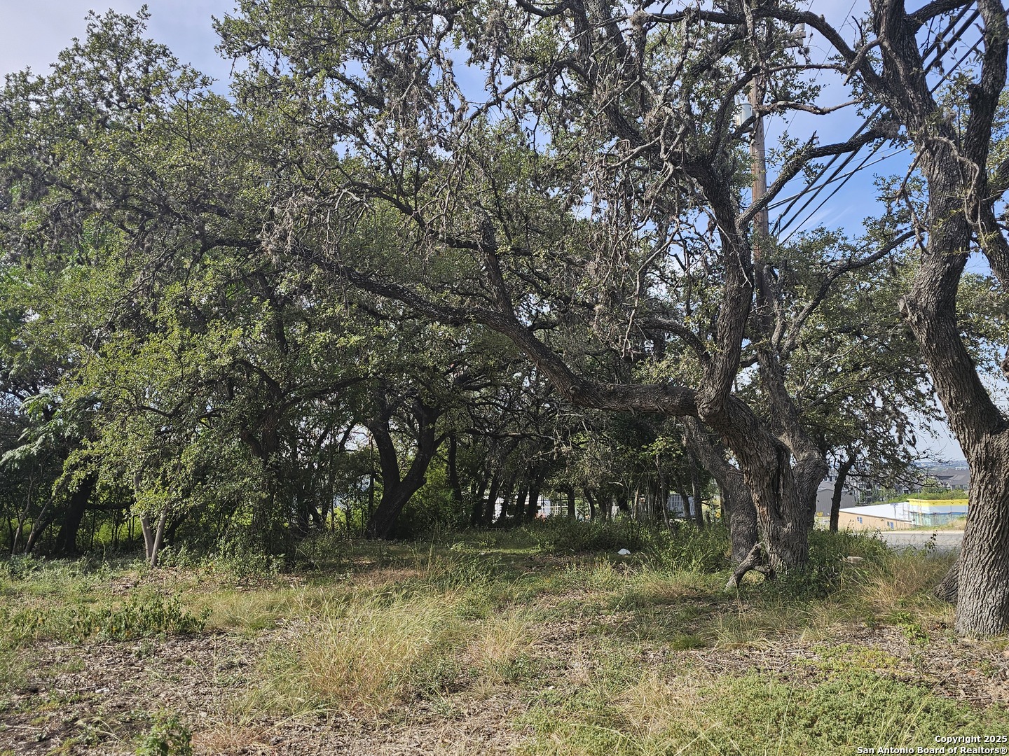 Land in San Antonio 3
