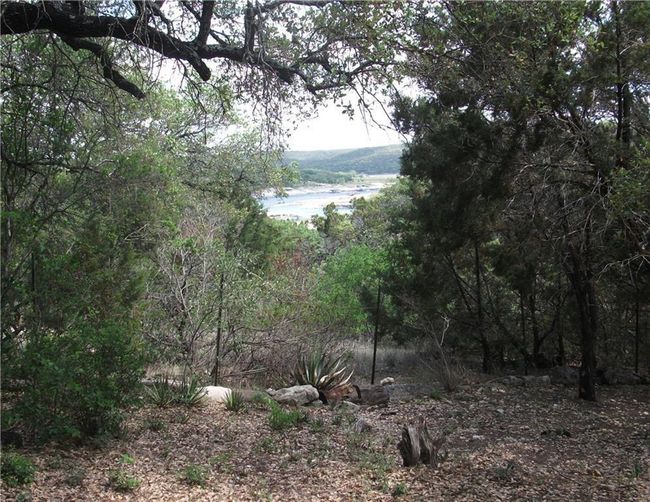 View of nature | Image 8