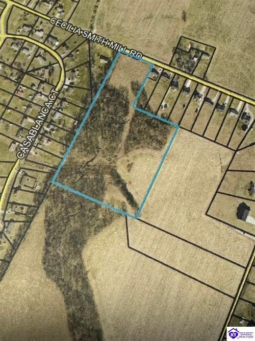 Lot 1 Cecilia Smiths Mill Road, Cecilia, KY, 42724 | Card Image