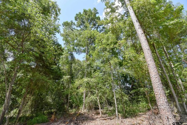 7933 Maple Ln, Home with 0 bedrooms, 0 bathrooms and null parking in Tyler TX | Image 8