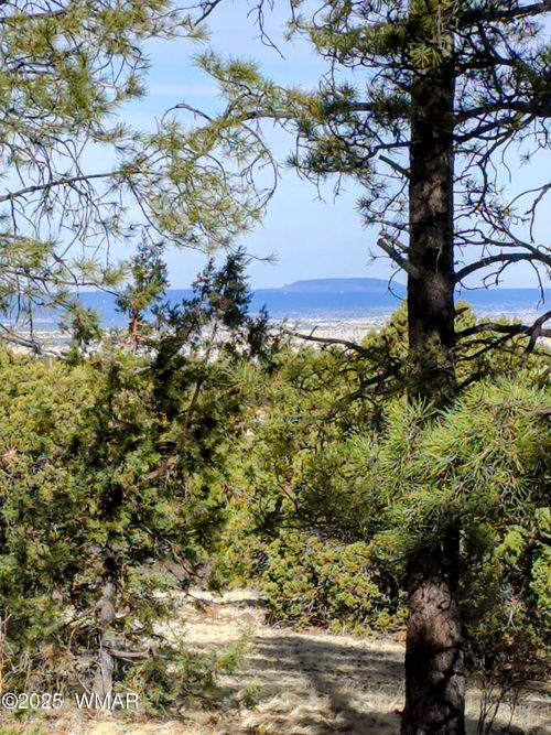 LOT 8 Red Cabin Ranch #8, Vernon, AZ, 85940 | Card Image