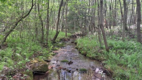 Lot 20 Timber Valley Trail (Pca), Rockwood, TN, 37854 | Card Image