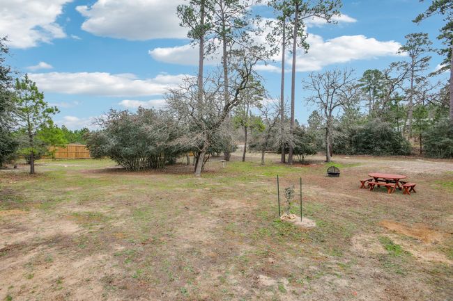 View of yard | Image 8