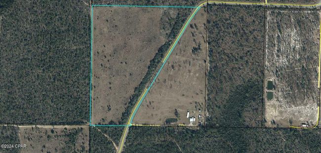 21332 Nw Melvin New Grade Rd, Home with 0 bedrooms, 0 bathrooms and null parking in Altha FL | Image 9