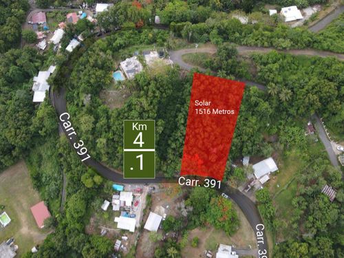 lot-10-10 Pr-391 Km. 3.7, PENUELAS, PR, 00624 | Card Image