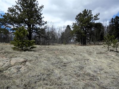 View from the road toward the back of the lot with aspens and pines. | Image 1