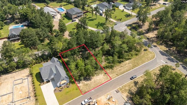 812 Elms Spinney Ln, Home with 0 bedrooms, 0 bathrooms and null parking in Chapin SC | Image 16