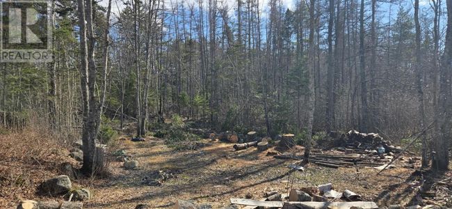 11799 Highway 8, Home with 0 bedrooms, 0 bathrooms and null parking in Caledonia NS | Image 25
