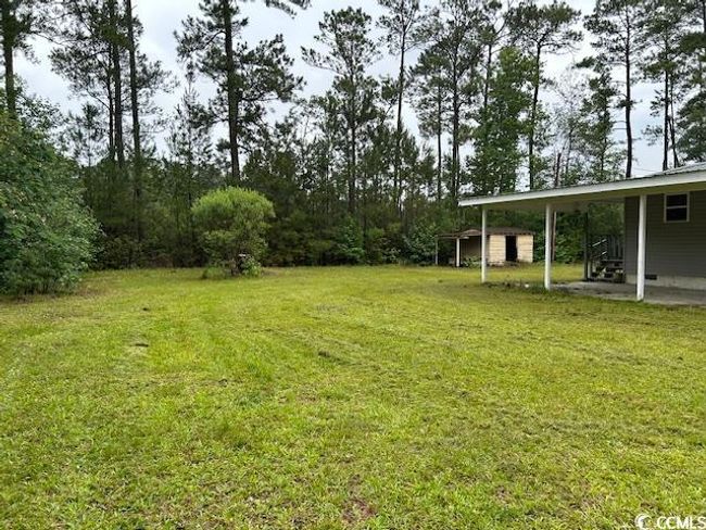 View of grassy yard with an outdoor structure | Image 8