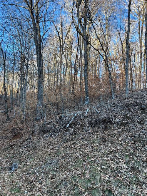 80-000 Chestnut Ln, Mars Hill, NC, 28754 | Card Image