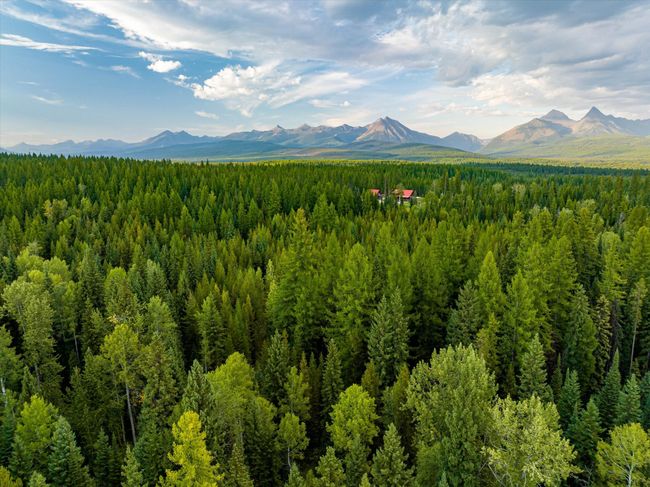 775 Trail Creek Rd, Home with 0 bedrooms, 0 bathrooms and null parking in Polebridge MT | Image 12