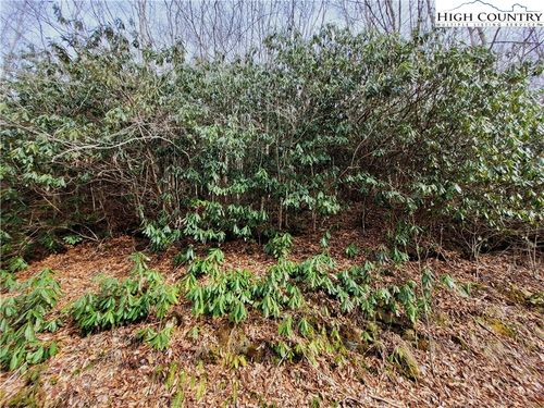 118 Deergrass Road, Beech Mountain, NC, 28604 | Card Image