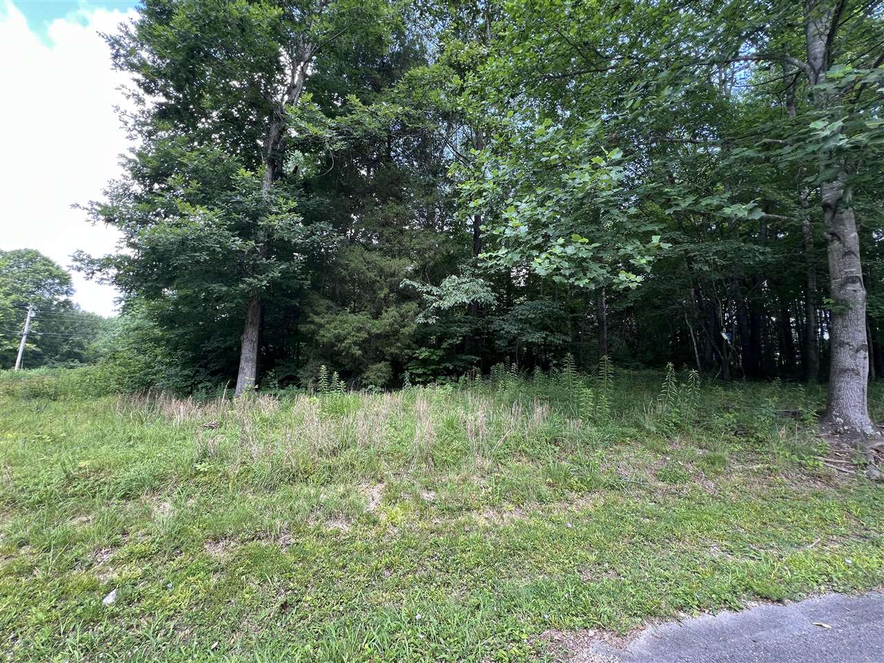 Land in Scottsville 2
