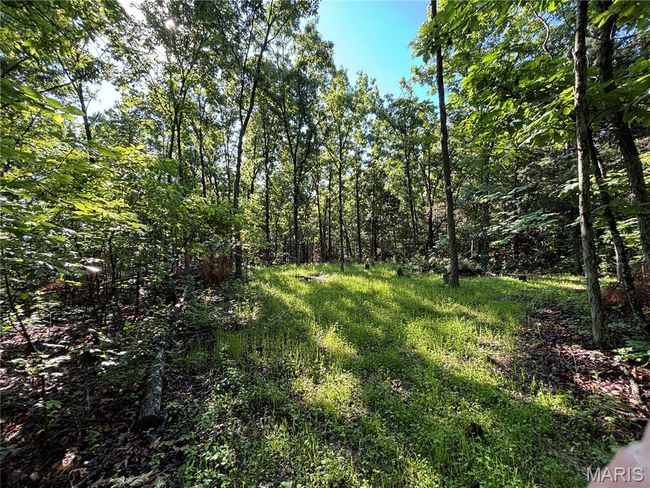 View of yard featuring a wooded view | Image 18