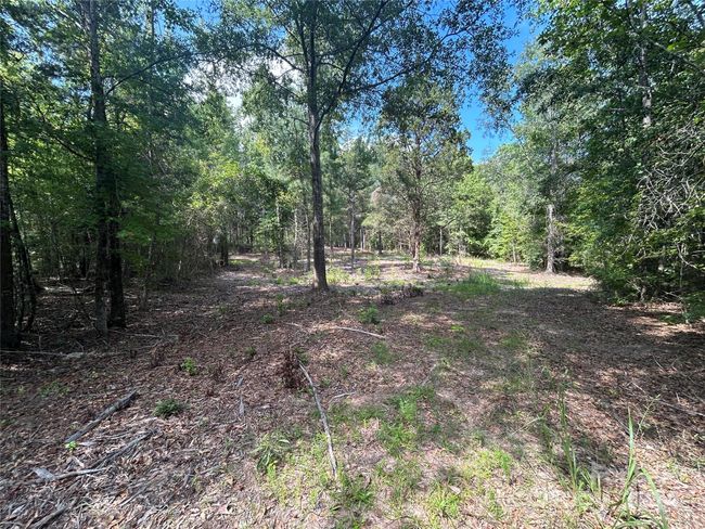 5630 Woodsferry Rd, Home with 0 bedrooms, 0 bathrooms and null parking in Carlisle SC | Image 16