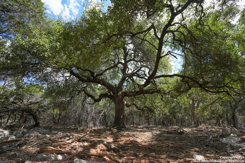 330 Rayner Ranch Blvd, Spring Branch, TX, 78070 | Card Image