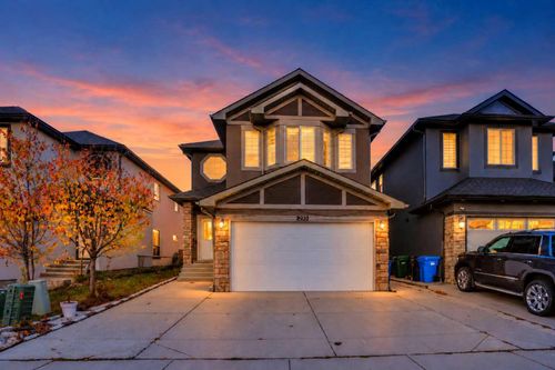 293 Saddlelake Dr Ne, Calgary, AB, T3J0N8 | Card Image