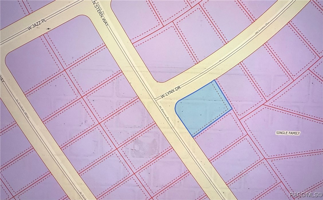 Land in Citrus Springs 2