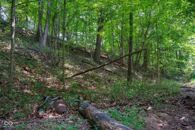 1000 N County Road 825 W, Home with 0 bedrooms, 0 bathrooms and null parking in Medora IN | Image 14