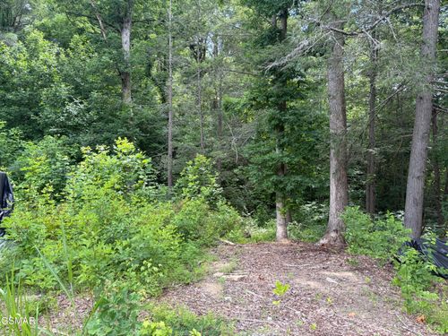 2708 Dayne Drive, Sevierville, TN, 37876 | Card Image