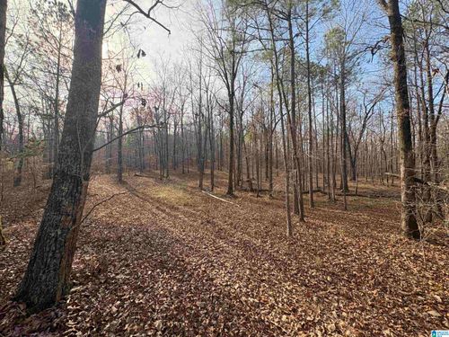 4-4540 Cabin Rd, Bessemer, AL, 35022-4982 | Card Image