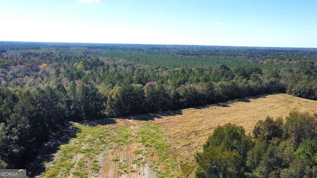 268-ACRES - 99 Old Happy Ln, Home with 0 bedrooms, 0 bathrooms and null parking in Brooklet GA | Image 10