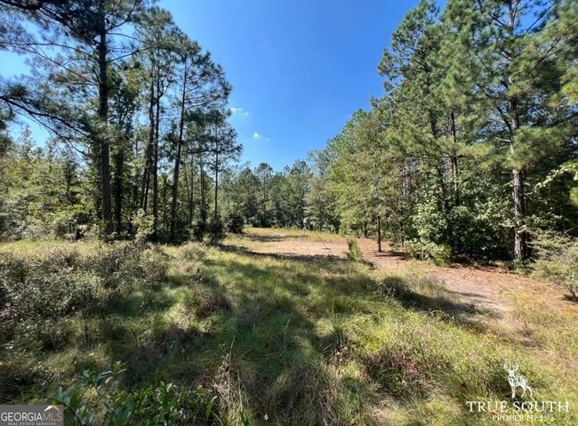 0 John S Horton Rd, Home with 0 bedrooms, 0 bathrooms and null parking in Adrian GA | Image 6
