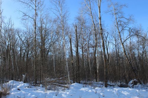 9xxx 200th St, Milaca, MN, 56353 | Card Image