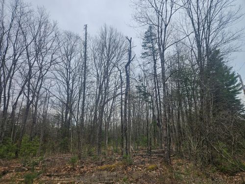 Lot 14-2, 3 Perkins Road, Burnham, ME, 04922 | Card Image