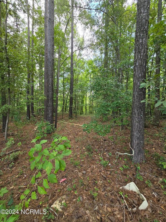 0 Mcnair Rd, Home with 0 bedrooms, 0 bathrooms and null parking in Plymouth NC | Image 13
