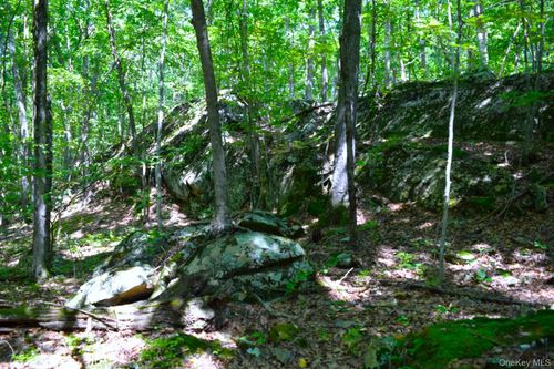 33 Old East Road, Plattekill, NY, 12589 | Card Image