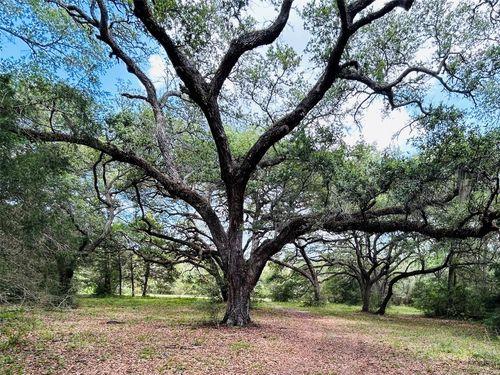 50 Acres Dunlavy Rd, Cat Spring, TX, 78933 | Card Image
