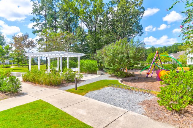1888 Nola -Tidalcreekphoto- (53) | Image 54