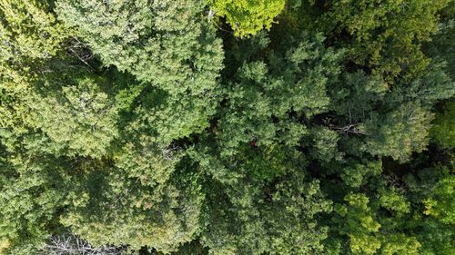 TBD Itasca County, Wirt, MN, 56362 | Card Image