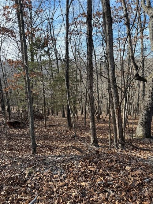 Lot 76 Shady Glen Rd, Garfield, AR, 72732-8761 | Card Image