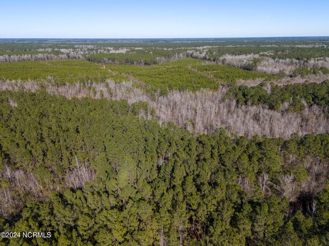 00 Sykes Town Rd, Home with 0 bedrooms, 0 bathrooms and null parking in Currie NC | Image 38